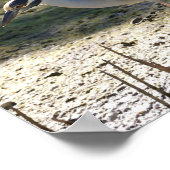 Geel-Gewas Night Heron, Florida Poster (Hoek)