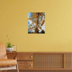 Geel Ginkgo laat fotografisch voorbijgaan Poster