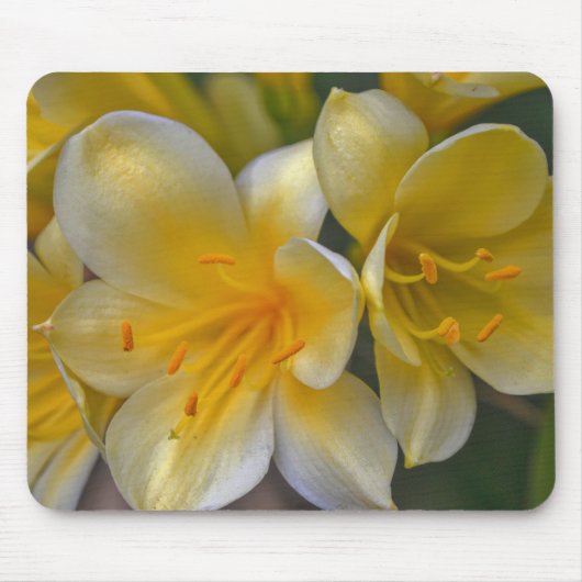 Geel Gouden Lelie Tuin Bloemen Muismat (Voorkant)