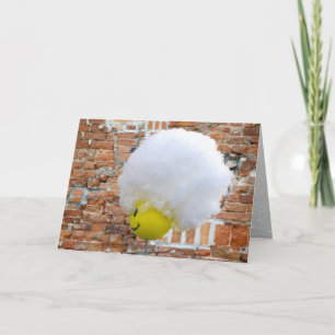 Geel Happy Face Antenna Topper, Fluffy Snow Pet Feestdagen Kaart