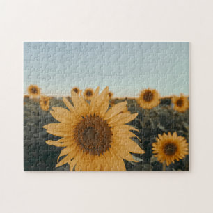 Geel Hardy Sunflower Best Sunflower Photos Legpuzzel