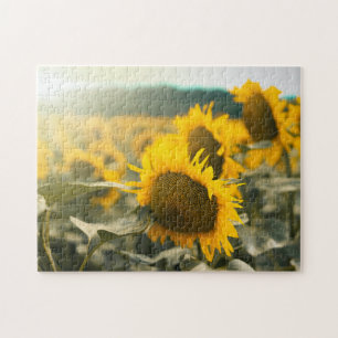Geel Hardy Sunflower Best Sunflower Photos Legpuzzel