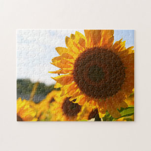 Geel Hardy Sunflower Best Sunflower Photos Legpuzzel