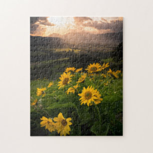 Geel Hardy Sunflower Best Sunflower Photos Legpuzzel