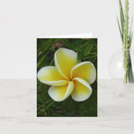 Geel Hawaiiaans Plumeria Gevouwen Wenskaart Kaart