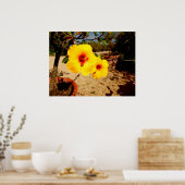 Geel Hibiscus Poster (Keuken)