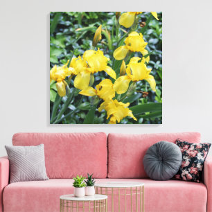 geel iris bloem tuin canvas afdruk