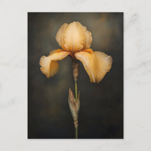 Geel iris botanisch schilderij briefkaart