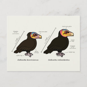 Geel-koppen Greater v Lesser Briefkaart