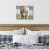 Geel LAb-Afbeelding Canvas Afdruk (Insitu (Slaapkamer))