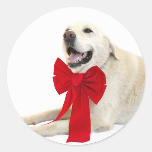 Geel lab Kerst sticker (Voorkant)