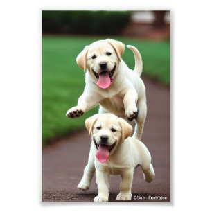 Geel lab Puppy Satin Foto Uitbreiding Afdruk