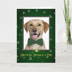 Geel lab St. Patrick's Day Card Kaart