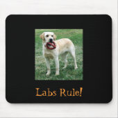 Geel Laboratorium, Labs Rule! Muismat (Voorkant)