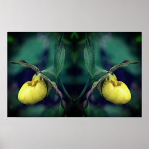 Geel Lady Slipper Orchid Flower Mirror Abstract Poster