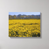Geel landschap van de bloem canvas afdruk (Voorkant)