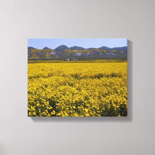 Geel landschap van de bloem canvas afdruk (Voorkant)
