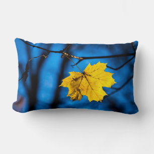 Geel leder op blauw kussen