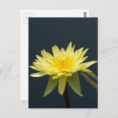 Geel Lotus Waterlily Briefkaart (Voorkant / Achterkant)