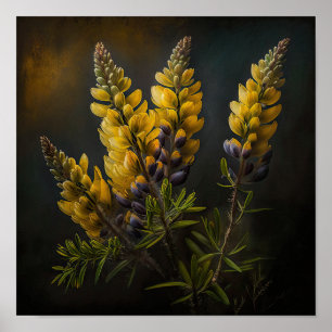 Geel Lupine Flower Art Print Poster
