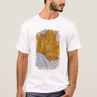 Geel maanblad onder water t-shirt