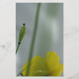 Geel maanzaad 12  pokerij briefpapier