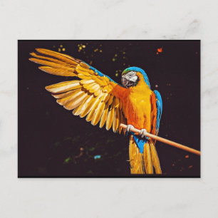Geel Macaw Parrot Magnet Briefkaart