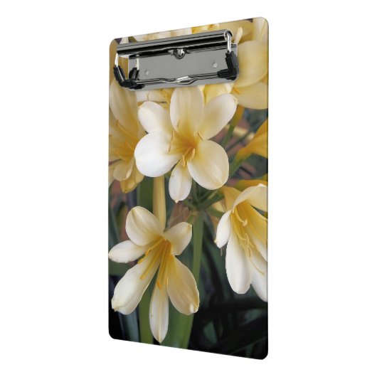 GEEL MINI KLEMBORD (Angled2)