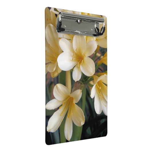 GEEL MINI KLEMBORD (Schuin)