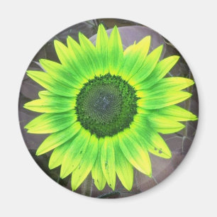 Geel N Green Sunflower Magnet Magneet