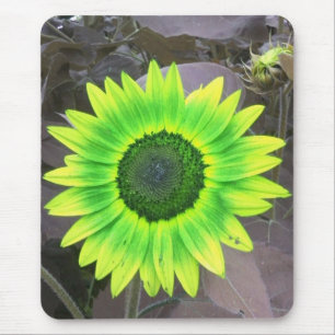 Geel N Green Sunflower Mousepad Muismat