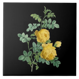Geel nam vintage botanische illustratie toe tegeltje
