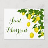 Geel net getrouwd Lemon Green Wedding Citrus Aankondigingskaart (Voorkant)