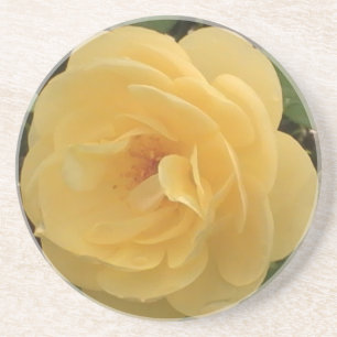 Geel Onderzetter van Camellia