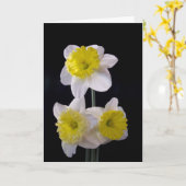 Geel op witte narcis Moederdag Kaart (Gele Bloem)