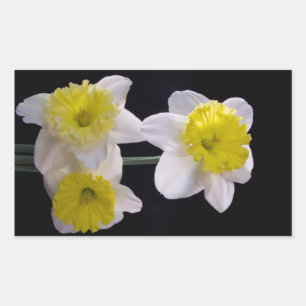 Geel op witte narcis rechthoekige sticker