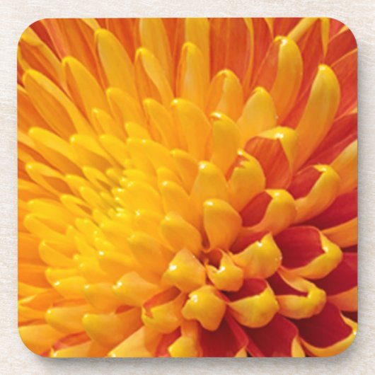 Geel & Oranje Chrysanthemum Bier Onderzetter (Voorkant)