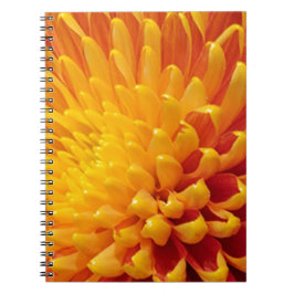 Geel & Oranje Chrysanthemum Notitieboek