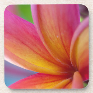Geel Oranje Deep Pink Tropische Plumeria Flower Drankjes Onderzetter