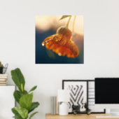 Geel Oranje marigold Flower Macro Poster (Thuiskantoor)