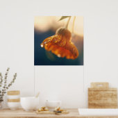 Geel Oranje marigold Flower Macro Poster (Keuken)