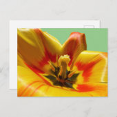 Geel Oranje Tulip DIY Briefkaart (Voorkant / Achterkant)