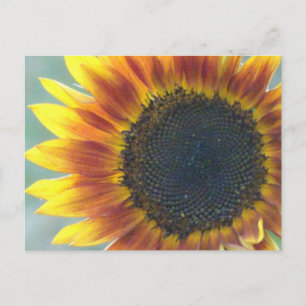 Geel Oranje Zonnebloemig Briefkaart