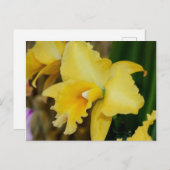 Geel orchidee Briefkaart (Voorkant / Achterkant)