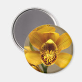 Geel Orchidee magneet (Voorkant / Achterkant)