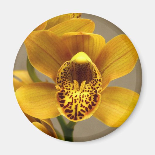 Geel Orchidee magneet (Voorkant)