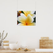 Geel plunjessventilator Frangipani Poster (Keuken)