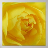 Geel poster (Voorkant)