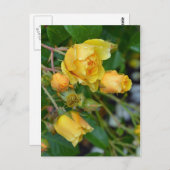 Geel roos briefkaart florale afdruk (Voorkant / Achterkant)