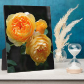 Geel Roos Fotoplaat (Zijkant)